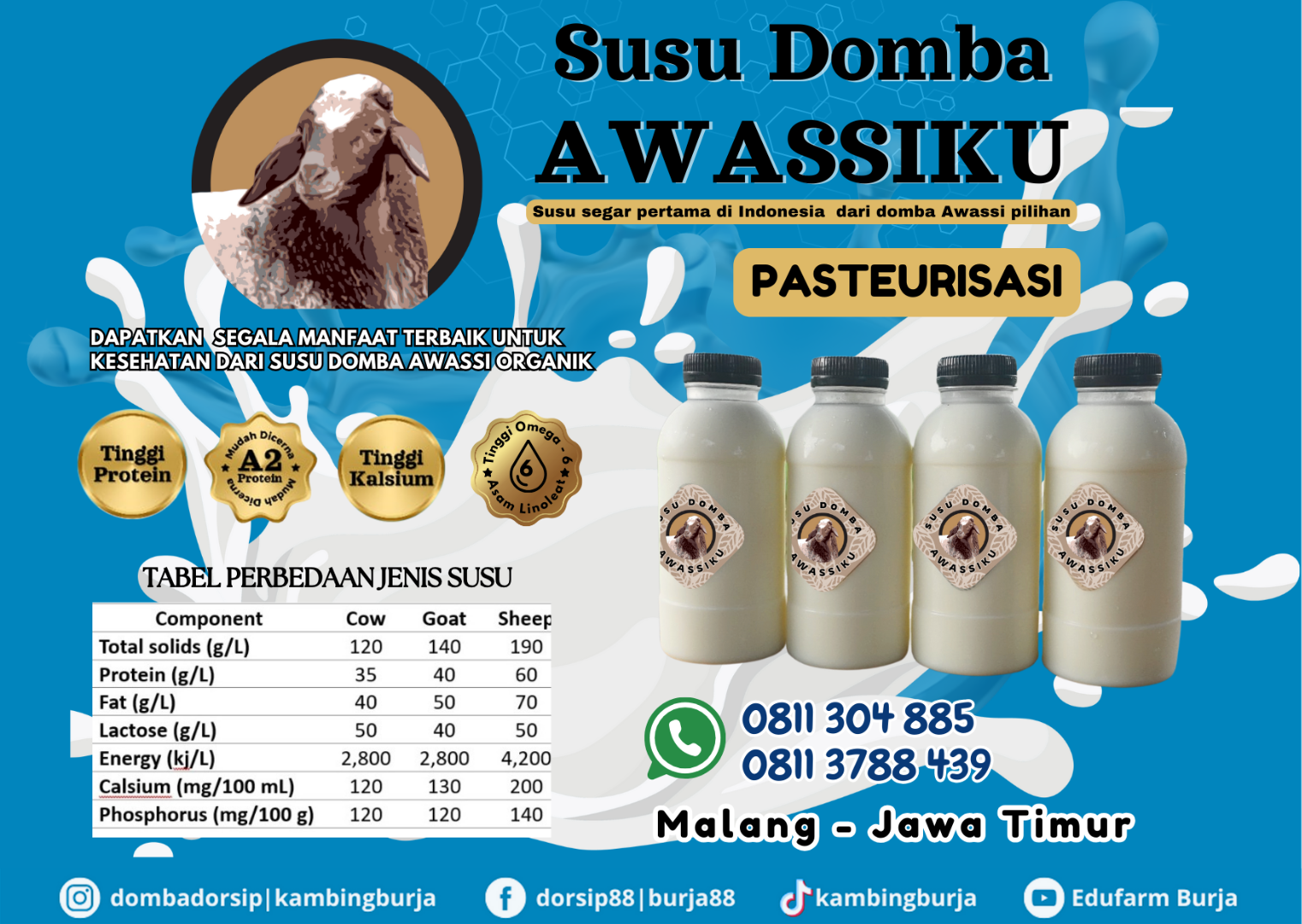 Susu Domba Awassiku