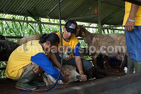 BEKTRAM DOMBING BATCH 28