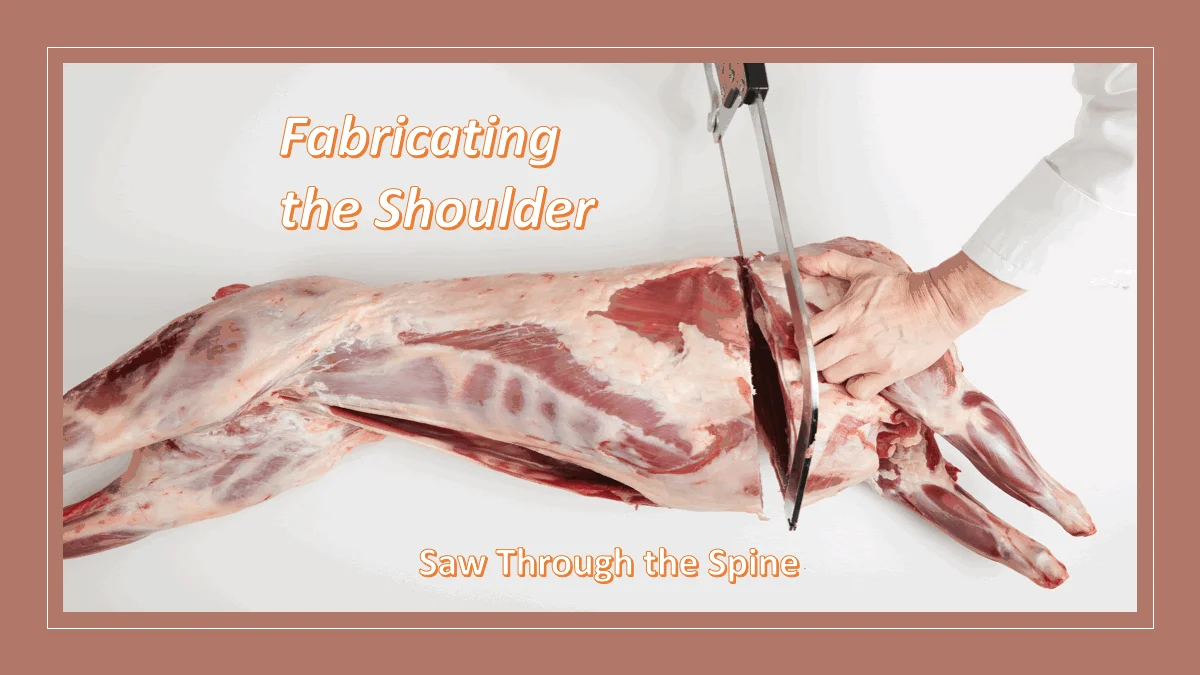 Shoulder (Bahu)