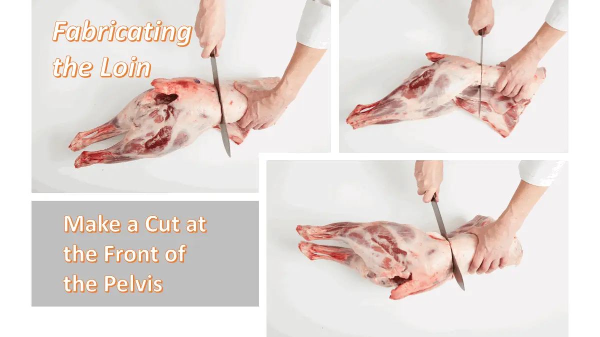 Loin (Punggung)