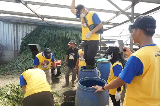Pelatihan Peternakan Domba & Kambing, Bekal Sukses Beternak!